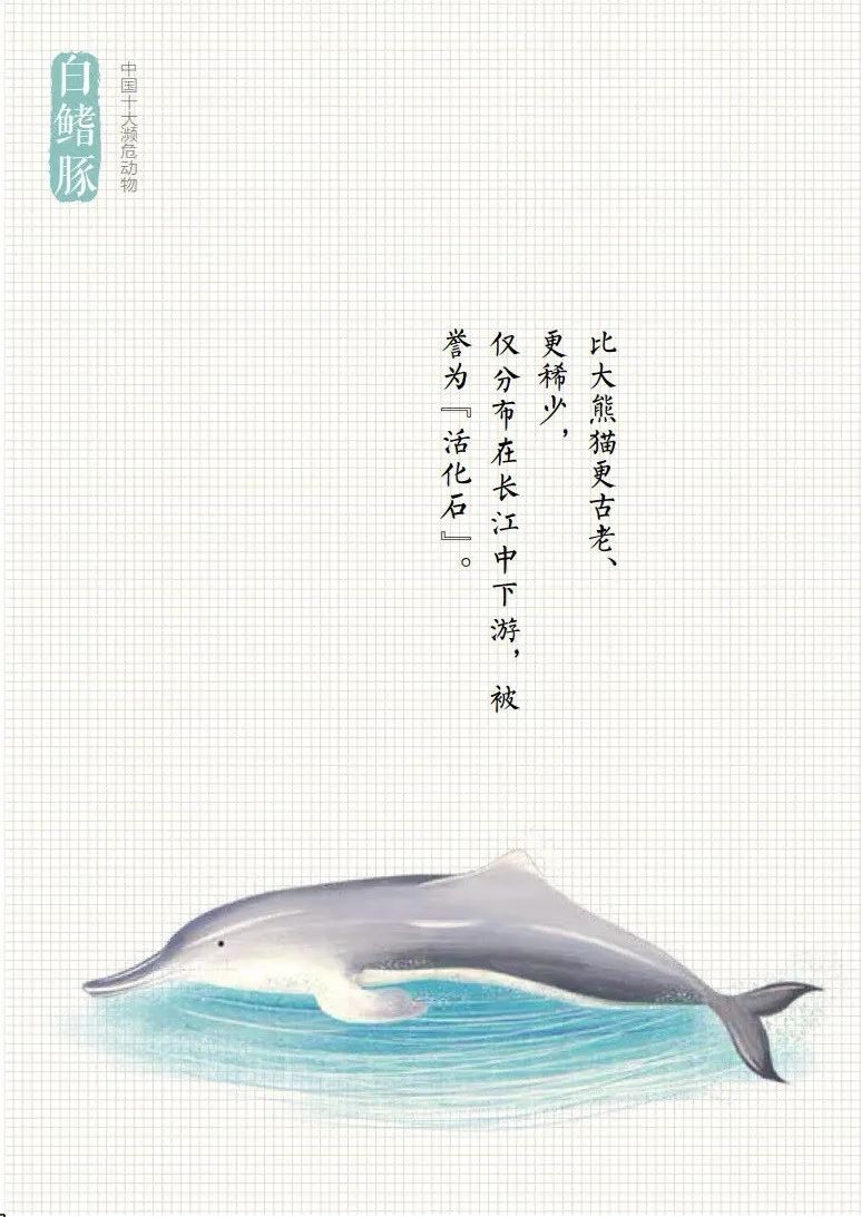 「生态环境部」公民十条｜保护野生动物，守护多样之美（环保科普365）