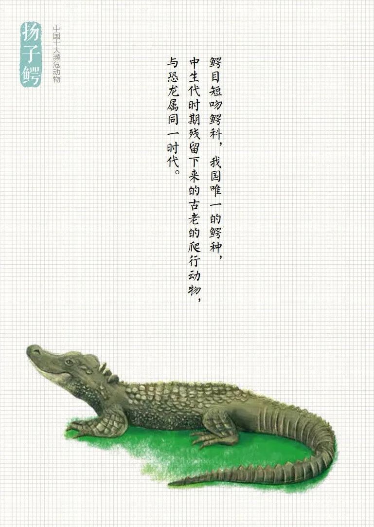「生态环境部」公民十条｜保护野生动物，守护多样之美（环保科普365）