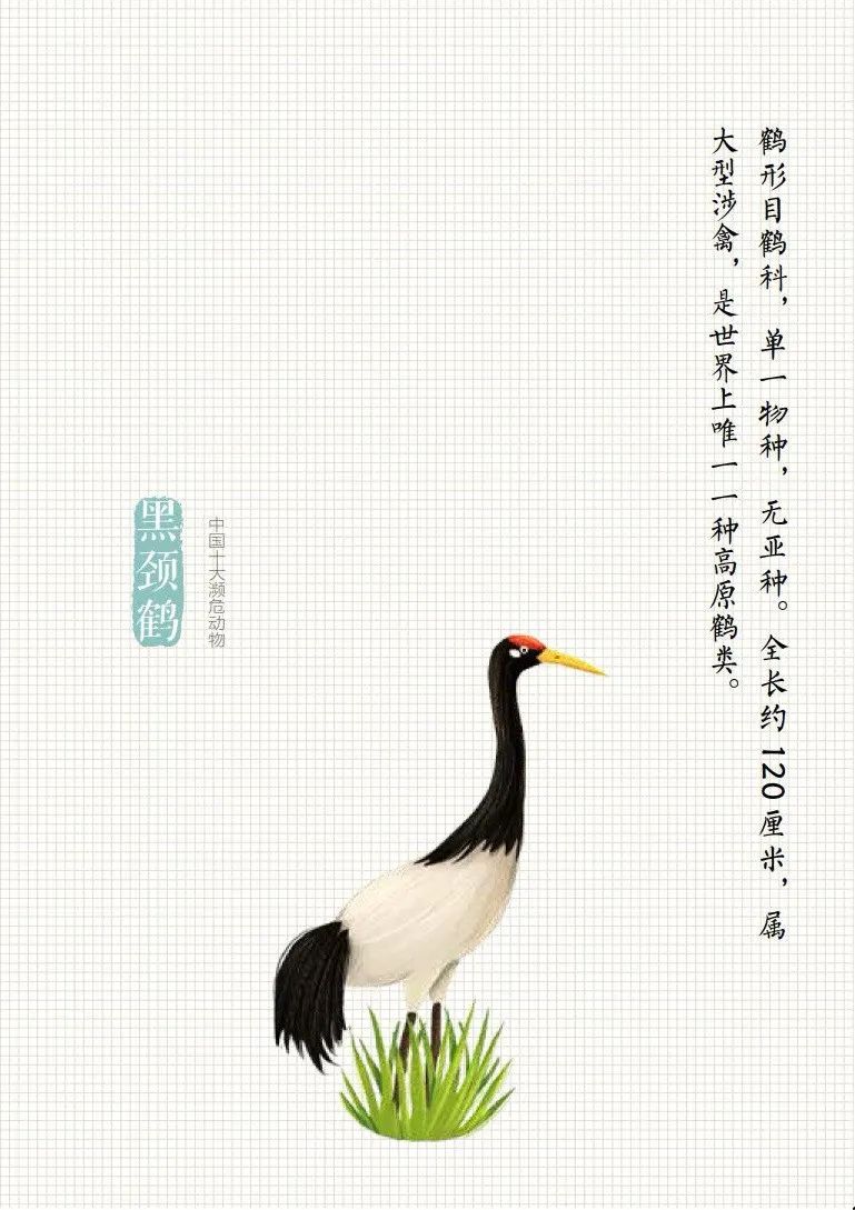 「生态环境部」公民十条｜保护野生动物，守护多样之美（环保科普365）