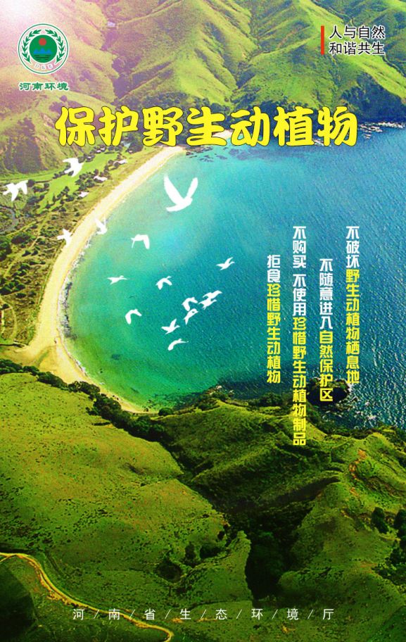 公民十条|呵护自然生态 保护野生动植物