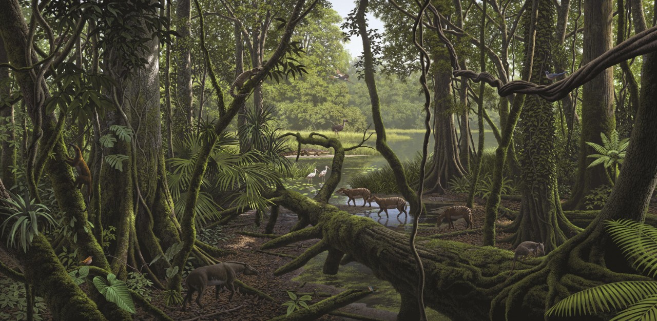 恐龙时代为什么没有巨大哺乳动物