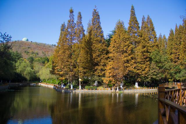 行走山东青岛湛山寺是市区唯一的佛寺中国最年轻的天台宗道场
