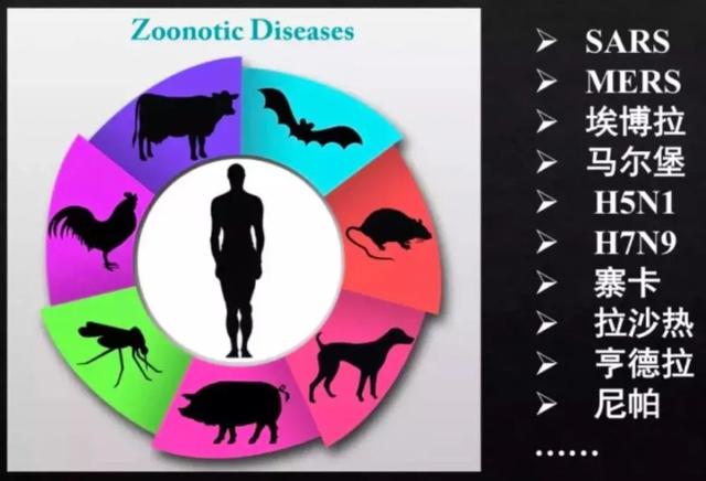 「中国农科新闻网」别再吃野味啦！……等等，到底哪些动物才算“野味”？
