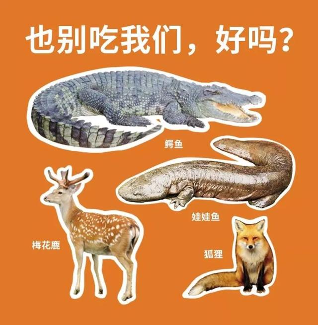 「中国农科新闻网」别再吃野味啦！……等等，到底哪些动物才算“野味”？