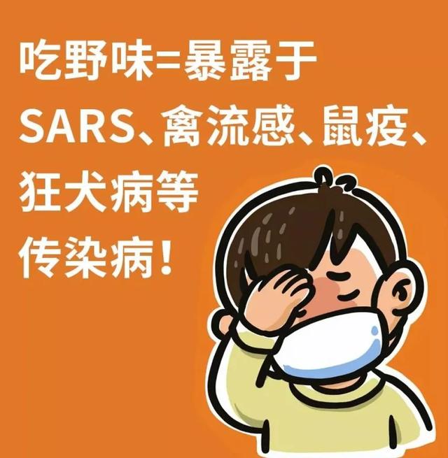 「中国农科新闻网」别再吃野味啦！……等等，到底哪些动物才算“野味”？