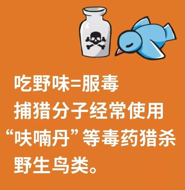 「中国农科新闻网」别再吃野味啦！……等等，到底哪些动物才算“野味”？