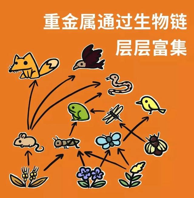 「中国农科新闻网」别再吃野味啦！……等等，到底哪些动物才算“野味”？