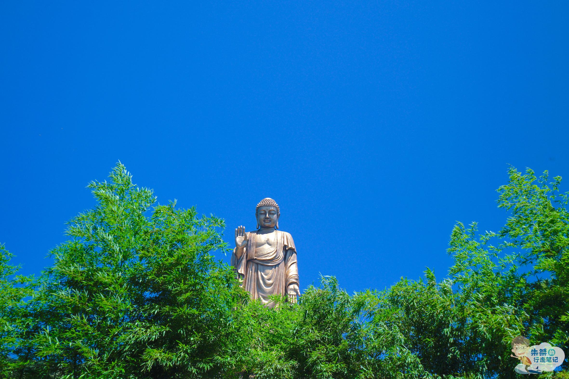 国内两个世界闻名的巨型佛像同在5a景区极为相似待遇却不相同