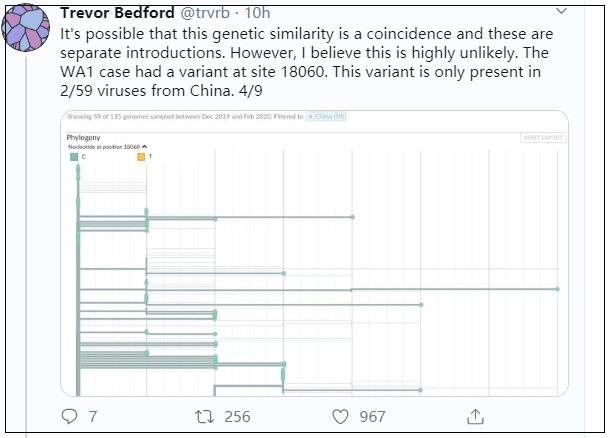 #国际#不妙！美国科学家刚刚发现：病毒恐怕已经在美国传播六周了