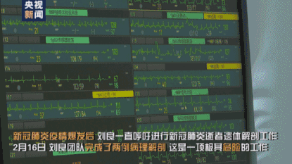 「肺炎」“肺已经不是肺了”！首例新冠肺炎尸检报告发布