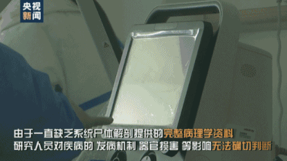 「肺炎」“肺已经不是肺了”！首例新冠肺炎尸检报告发布