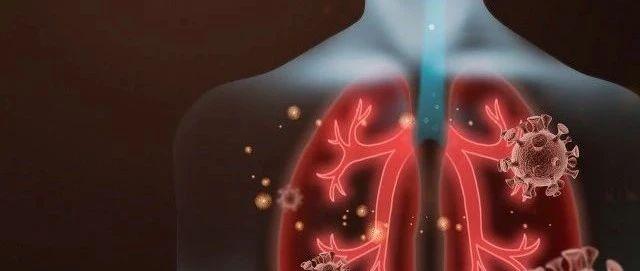 「肺炎」“肺已经不是肺了”！首例新冠肺炎尸检报告发布