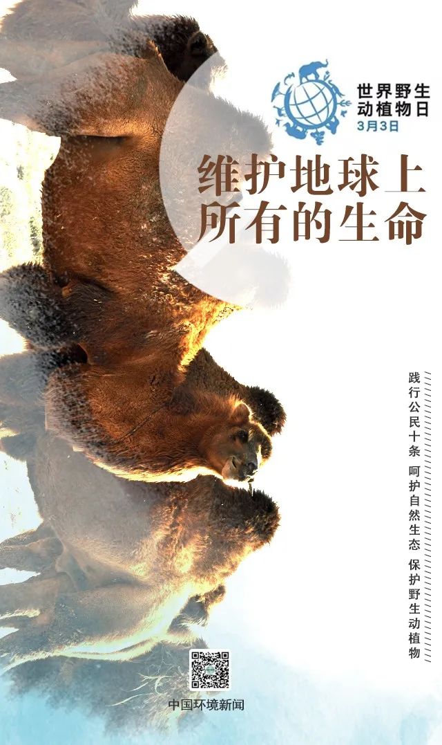 「生态环境」世界野生动植物日丨维护地球上所有的生命（中国环境新闻）
