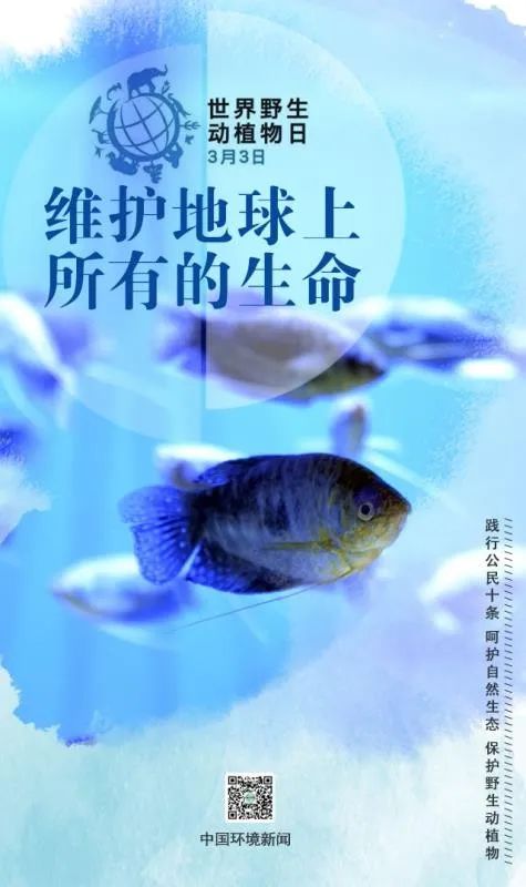 「生态环境」世界野生动植物日丨维护地球上所有的生命（中国环境新闻）