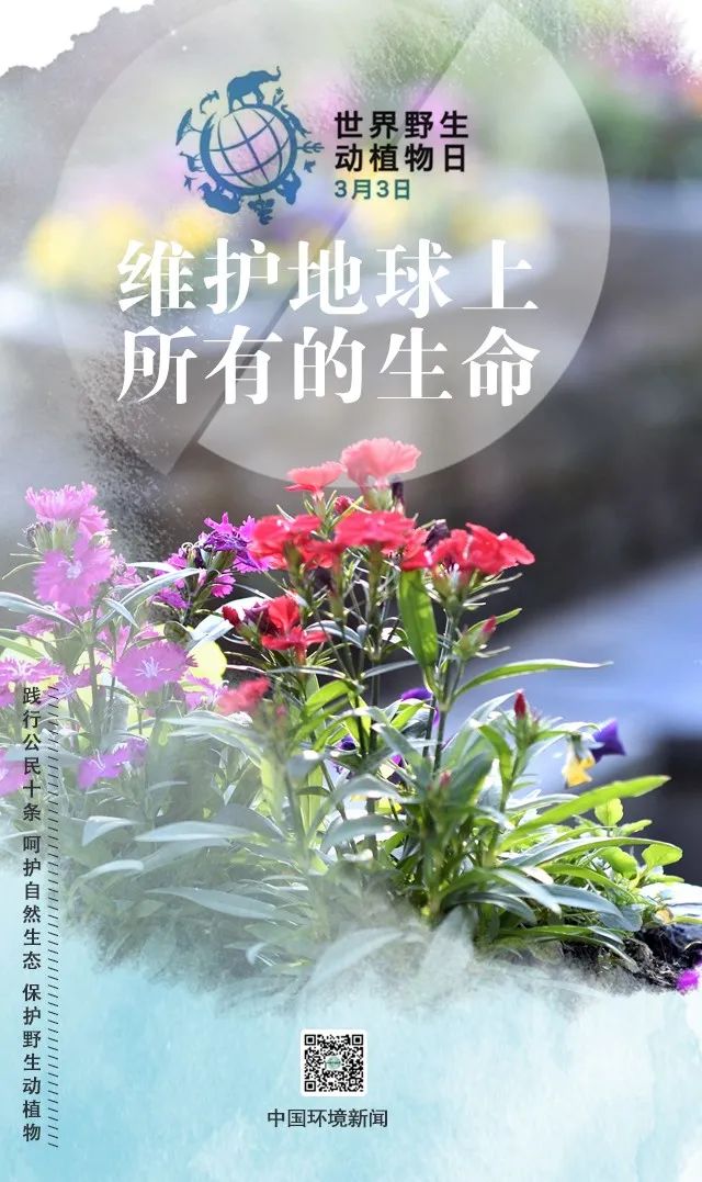 「生态环境」世界野生动植物日丨维护地球上所有的生命（中国环境新闻）