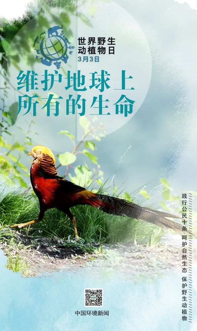 「生态环境」世界野生动植物日丨维护地球上所有的生命（中国环境新闻）