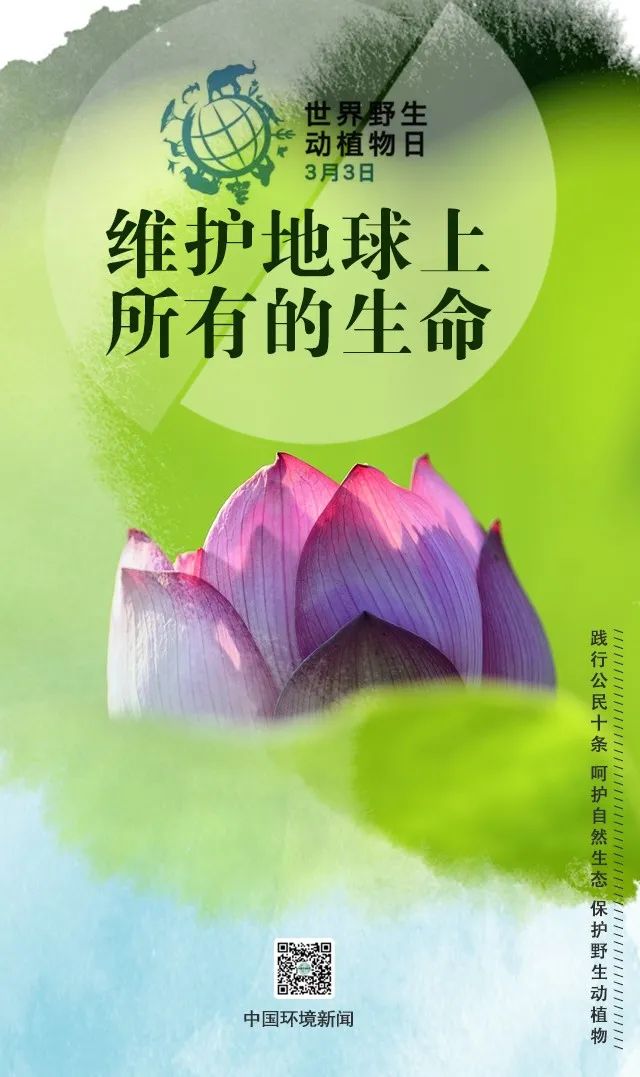 「生态环境」世界野生动植物日丨维护地球上所有的生命（中国环境新闻）