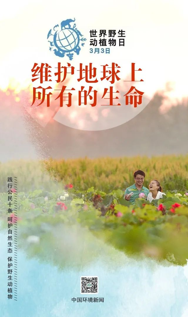 「生态环境」世界野生动植物日丨维护地球上所有的生命（中国环境新闻）