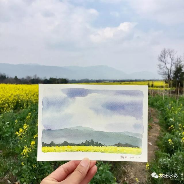 手绘腾冲春天里最美的一抹色彩