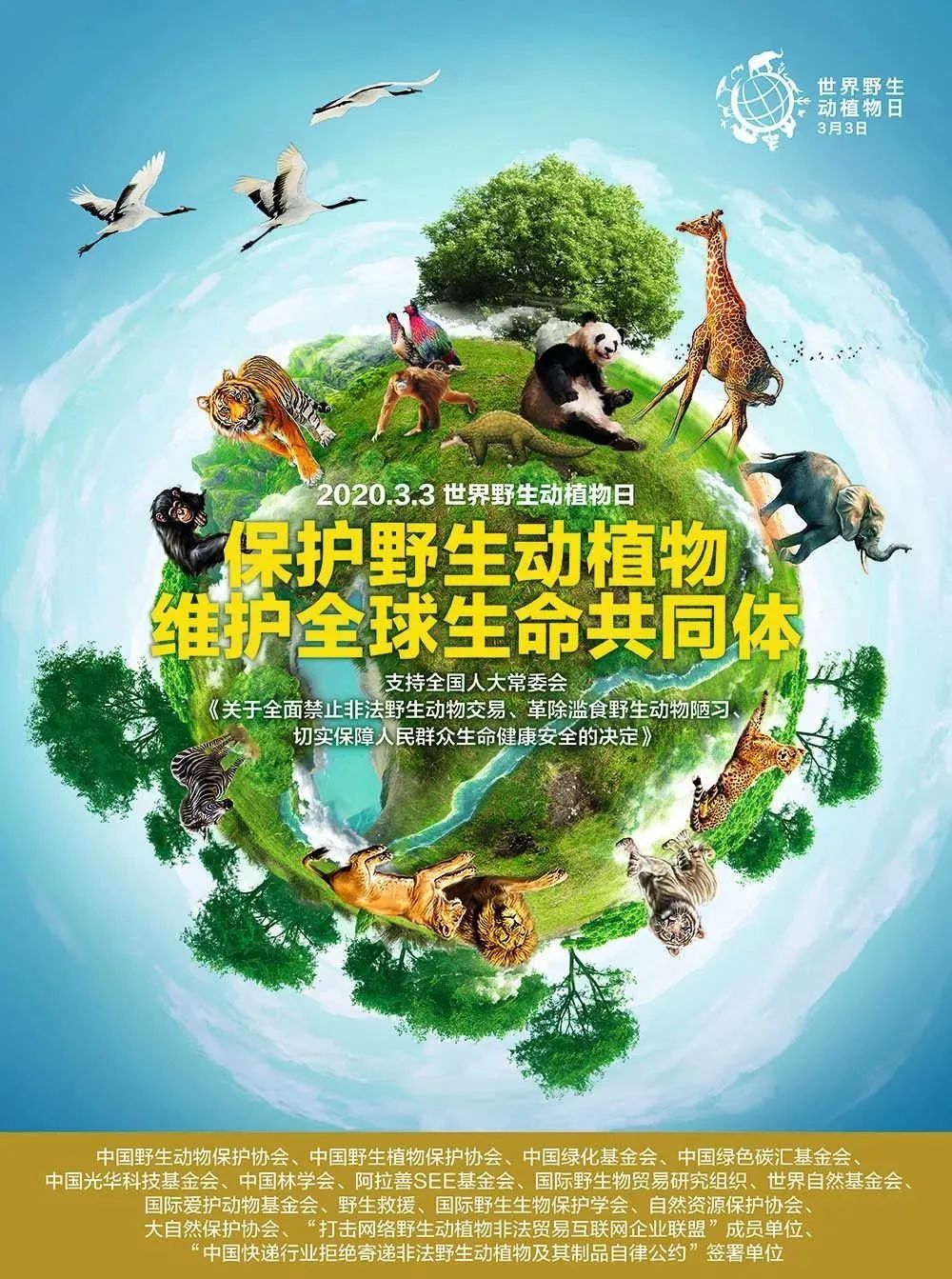 世界野生动植物日丨敬畏地球生命维护全球生命共同体