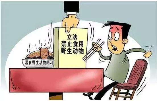 野生动物■@所有人，全面禁止食用野生动物！这些规定须牢记