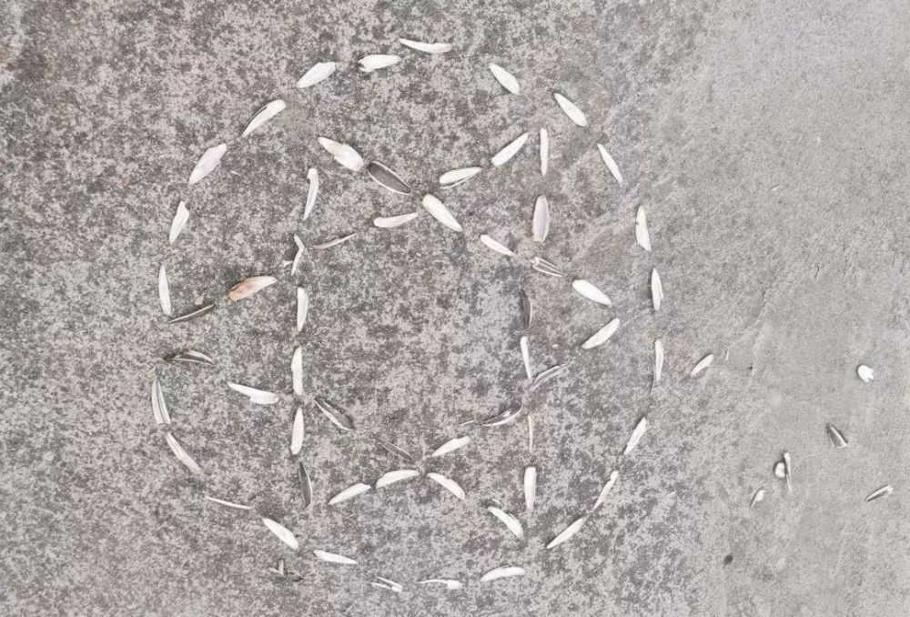 生活▲有的人宅废了，有的人宅会了，你属于哪一种？