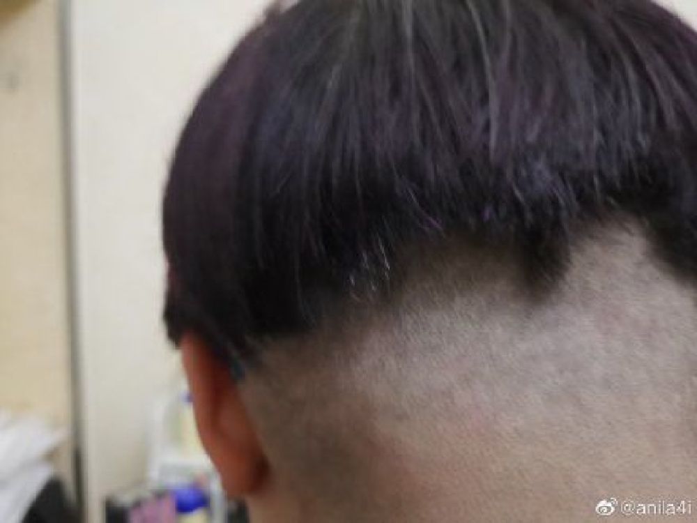 生活▲有的人宅废了，有的人宅会了，你属于哪一种？