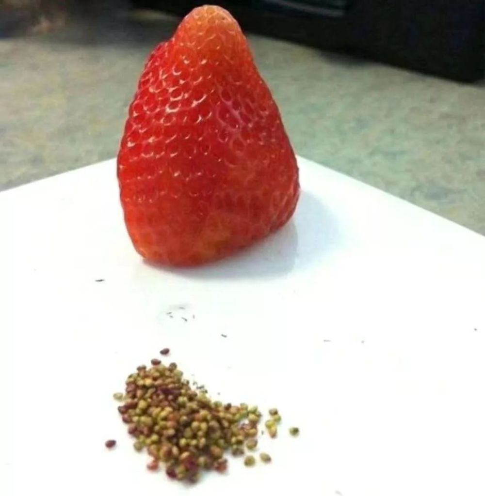 生活▲有的人宅废了，有的人宅会了，你属于哪一种？