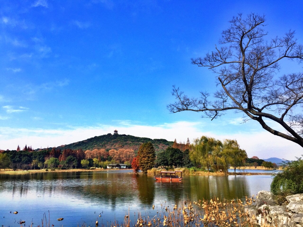 世界三大赏樱胜地之一无锡的桃花源太湖风景的绝佳之处