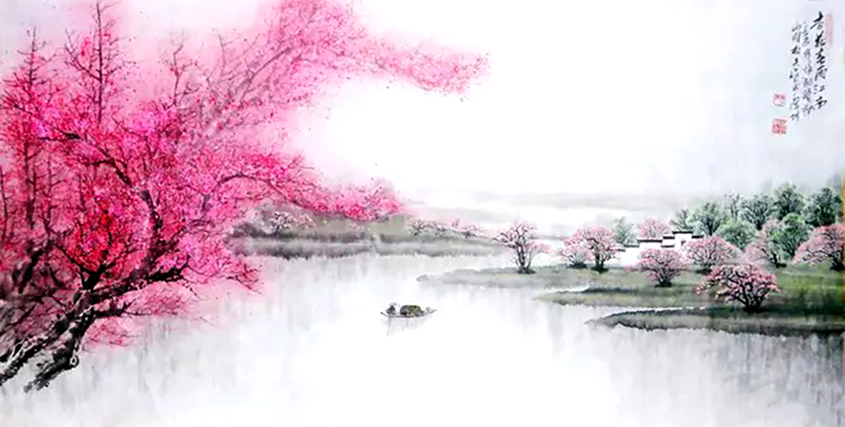 世人只知樱花落纷纷却不知杏花雨之美杏花雨诗入梦来