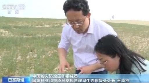 【三农】中国专家赴巴基斯坦实地考察：处理虫卵成难题