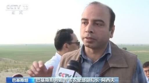 【三农】中国专家赴巴基斯坦实地考察：处理虫卵成难题