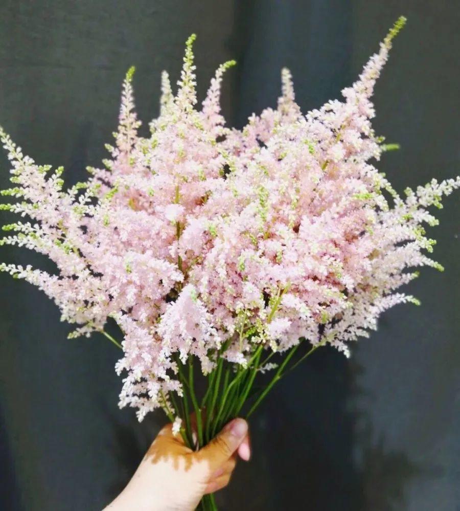 今年流行的小众花颜值高气质佳养一盆就够了