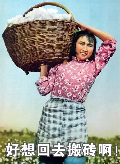 万万没想到我终于活成了一个表情包