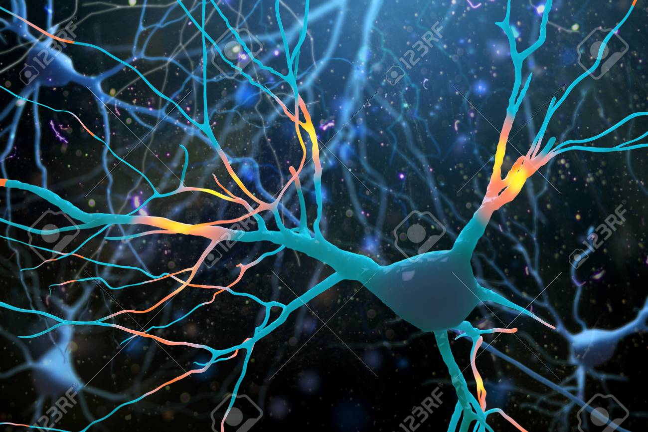 神经科学家发现大脑中重要蛋白质的新结构
