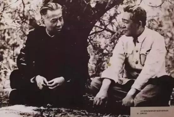 『疫情』国家疫情治理中的北大往事