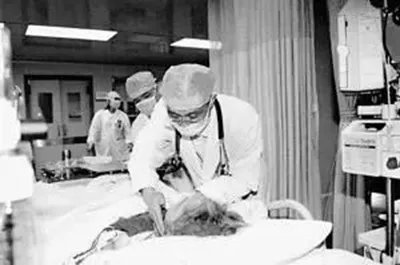 『疫情』国家疫情治理中的北大往事