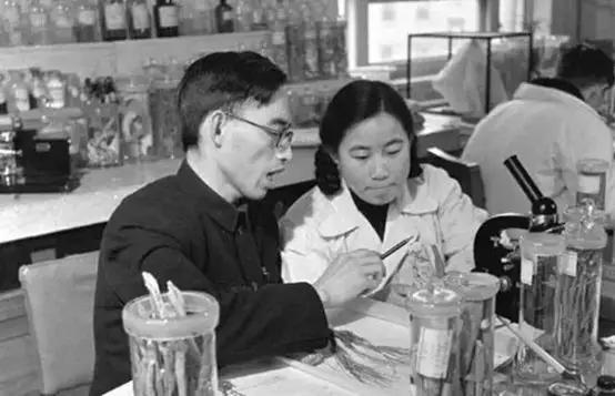 『疫情』国家疫情治理中的北大往事