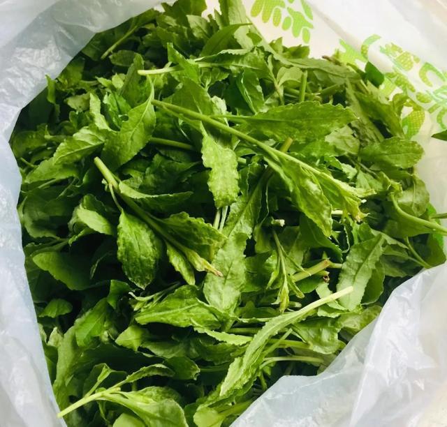 春天野菜赛黄金教你2种做法好吃又养生