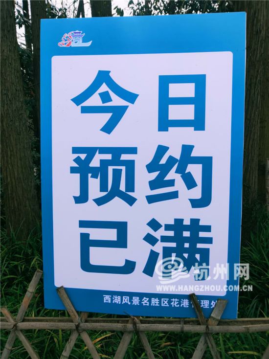 今天太子湾1万人入园名额已满!市民:"我们是跟着春天来的!