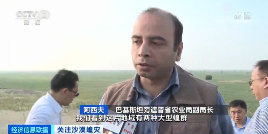 「蝗虫」约10000000000只沙漠蝗在这停留！是否会入侵我国？