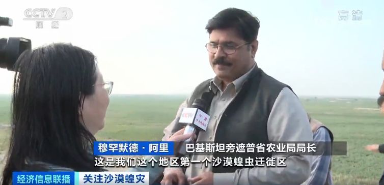 「蝗虫」约10000000000只沙漠蝗在这停留！是否会入侵我国？