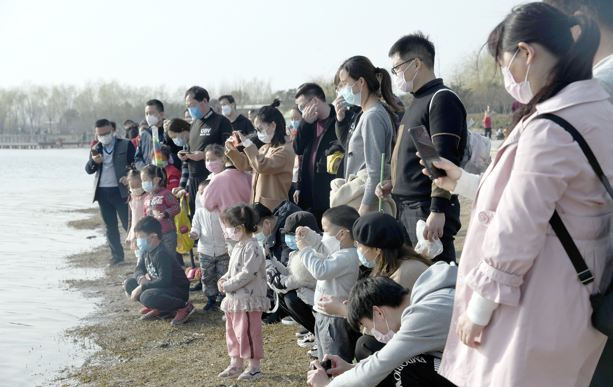 郑州北龙湖来了白天鹅引起市民围观拍照