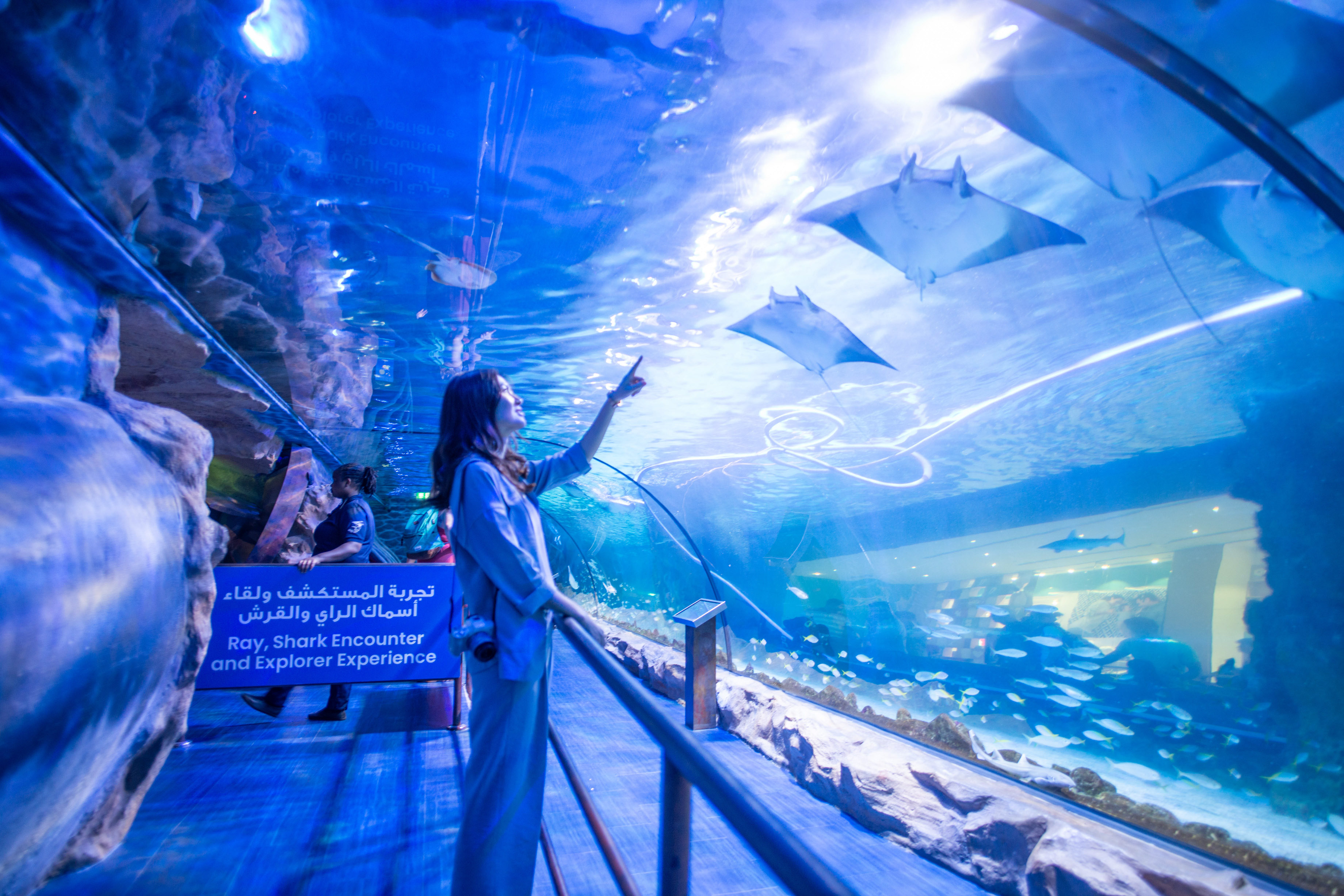 迪拜藏着世界上最大的室内水族馆不买票也能看到