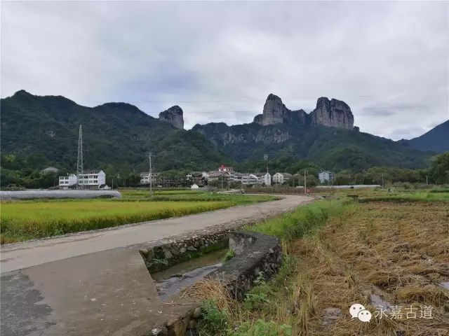 温州屿岭古道芙蓉崖前江枫红狮子岩畔渔火旺