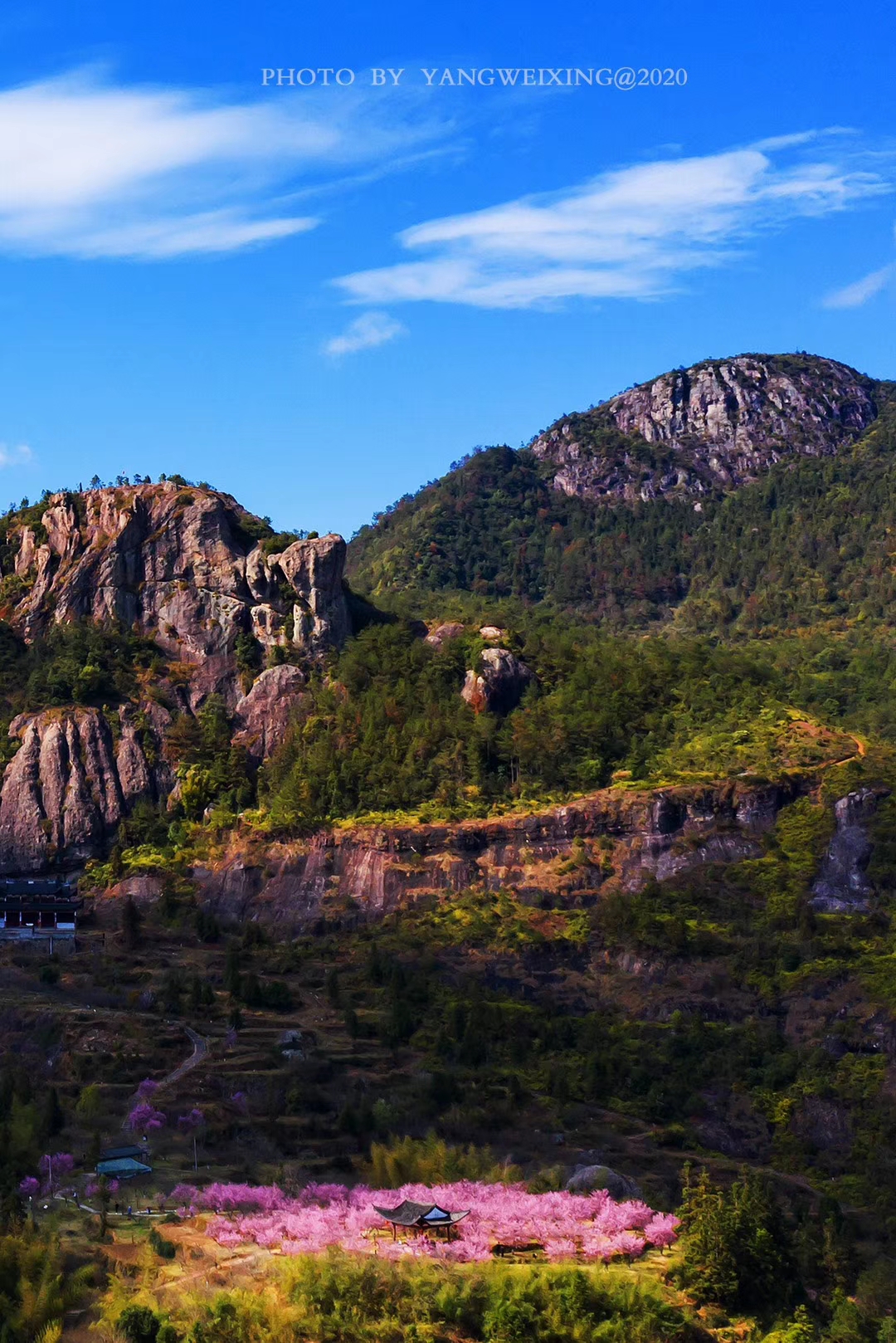 温州楠溪三月春已至漫野山花等你来