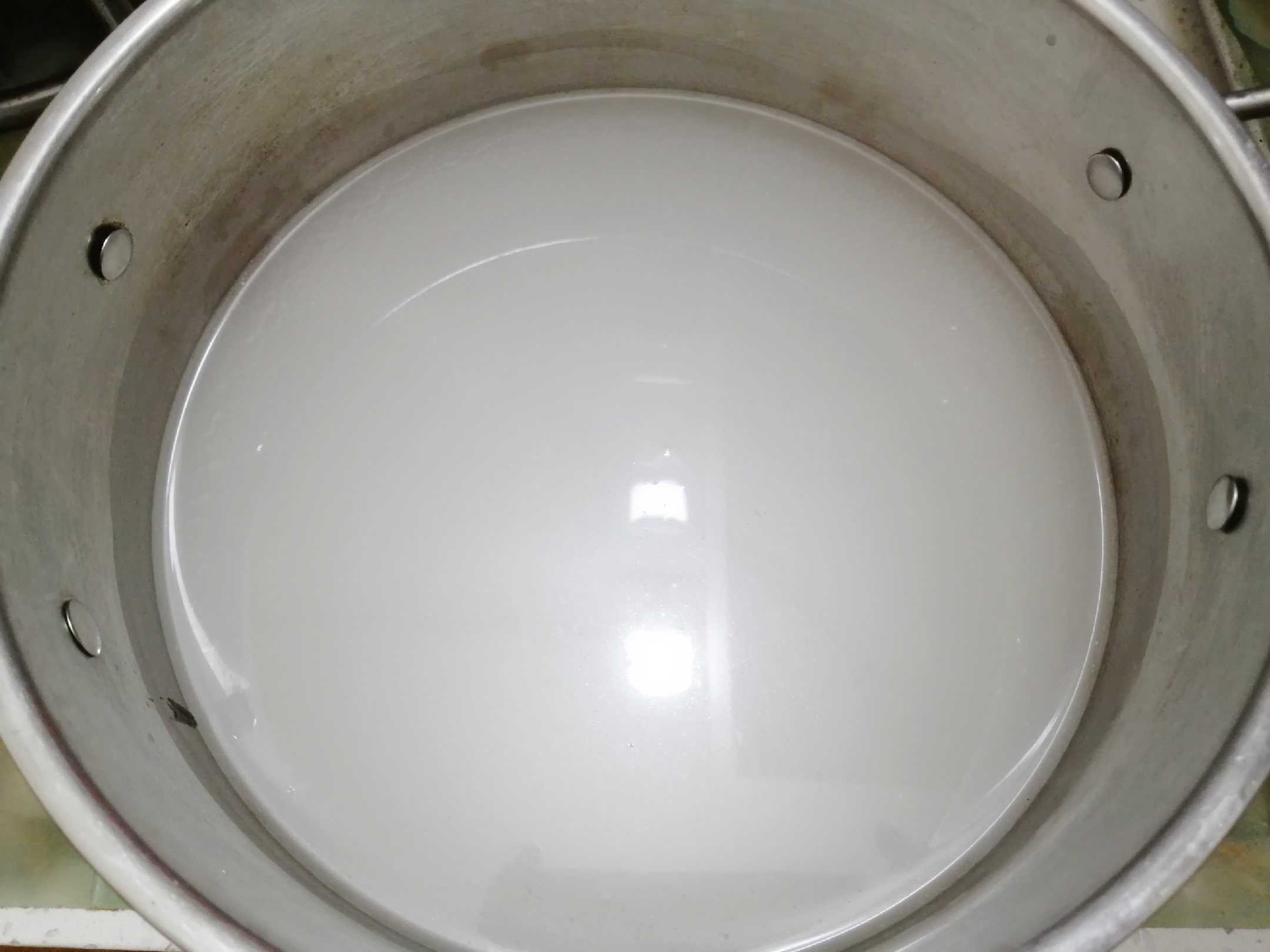 为什么淘米水过期牛奶浇花不仅土壤发霉还生小虫子