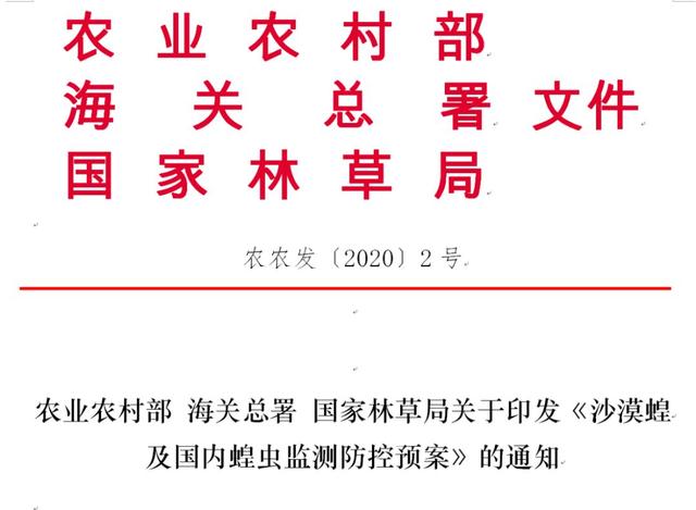 #农业#怎样科学防控境内外蝗虫？农业农村部等三部委联合印发预案