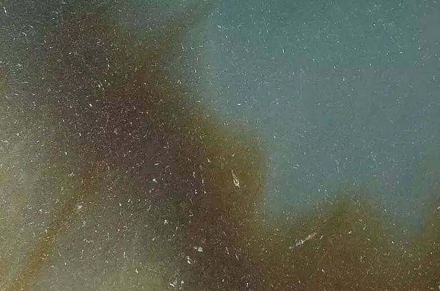 翡翠的"苍蝇翅"究竟是什么?