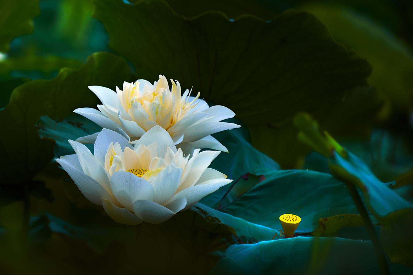 沉默是一个人强大的开始